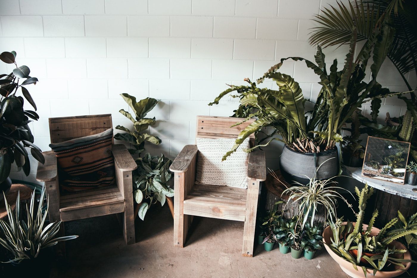 Two armchairs in a calm, plant-filled consulting room